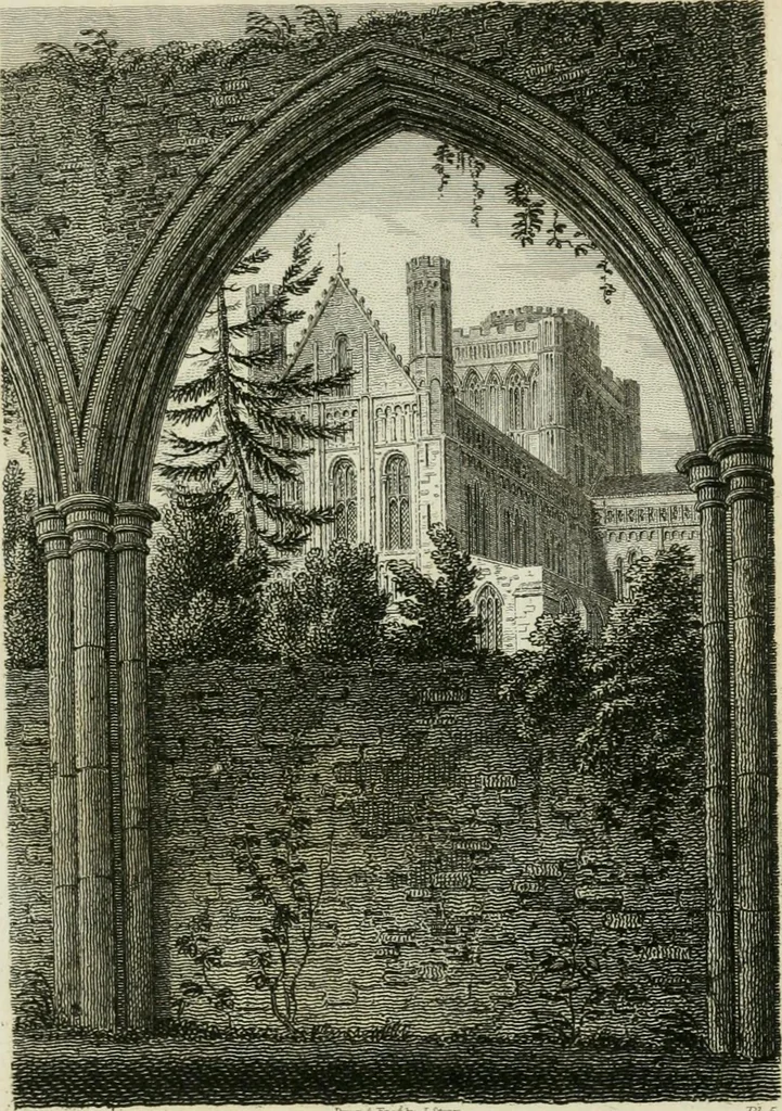 An illustration from History and antiquities of the cathedral churches of Great Britain : illustrated with a series of highly-finished engravings, exhibiting general and particular views, ground plans, and all the architectural features and ornaments in the various styles of building used in our ecclesiastical edifices, 1814, leaf 206