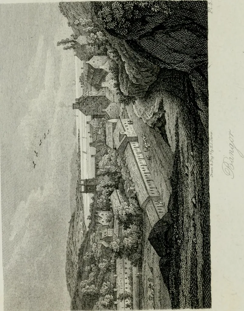 An illustration from History and antiquities of the cathedral churches of Great Britain : illustrated with a series of highly-finished engravings, exhibiting general and particular views, ground plans, and all the architectural features and ornaments in the various styles of building used in our ecclesiastical edifices, 1814, leaf 105