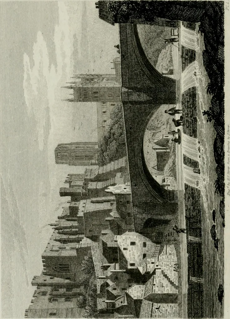 An illustration from History and antiquities of the cathedral churches of Great Britain : illustrated with a series of highly-finished engravings, exhibiting general and particular views, ground plans, and all the architectural features and ornaments in the various styles of building used in our ecclesiastical edifices, 1814, leaf 233