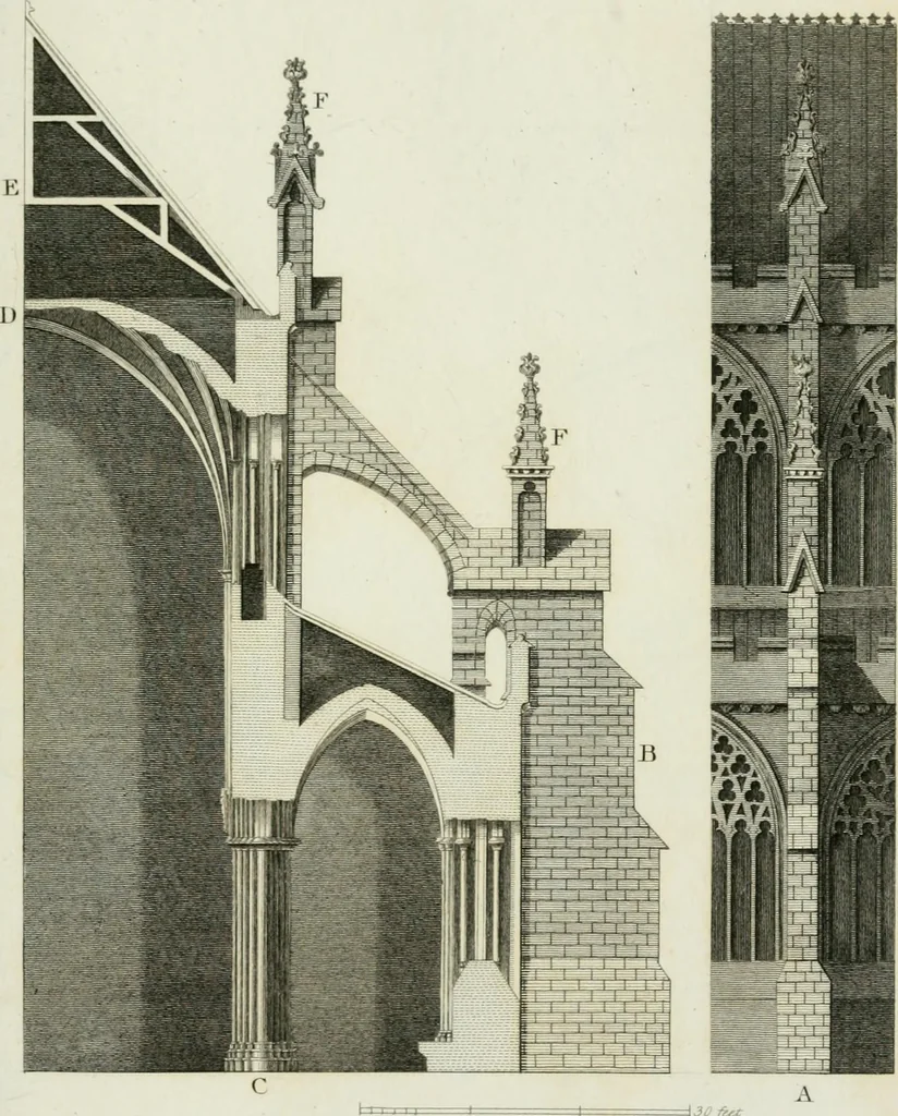 An illustration from History and antiquities of the cathedral churches of Great Britain : illustrated with a series of highly-finished engravings, exhibiting general and particular views, ground plans, and all the architectural features and ornaments in the various styles of building used in our ecclesiastical edifices, 1814, leaf 310