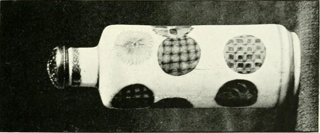 An illustration from A history and description of Chinese porcelain, 1901, leaf 260