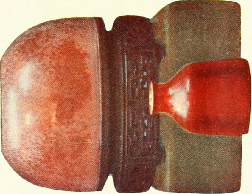 An illustration from A history and description of Chinese porcelain, 1901, leaf 358