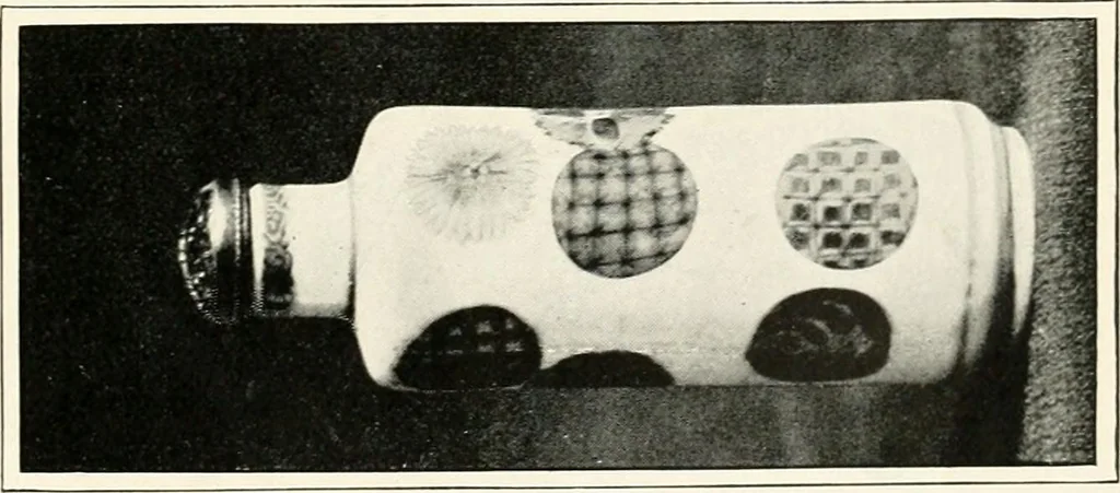 An illustration from A history and description of Chinese porcelain, 1901, leaf 258
