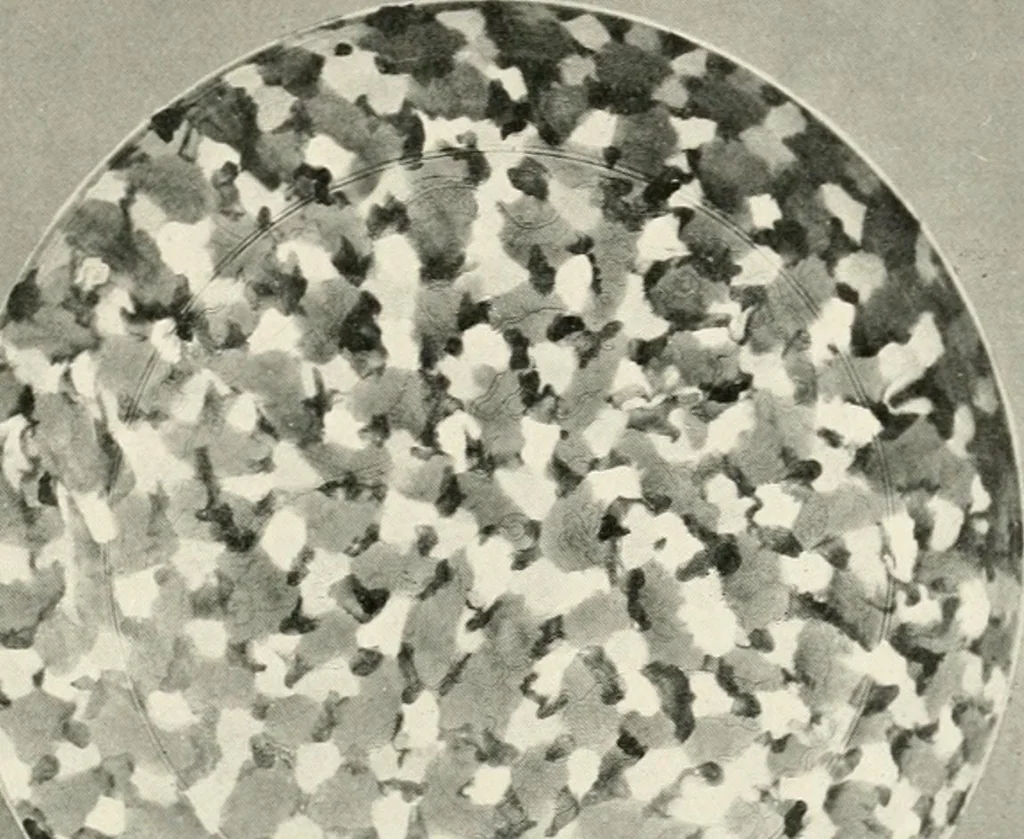An illustration from A history and description of Chinese porcelain, 1901, leaf 46