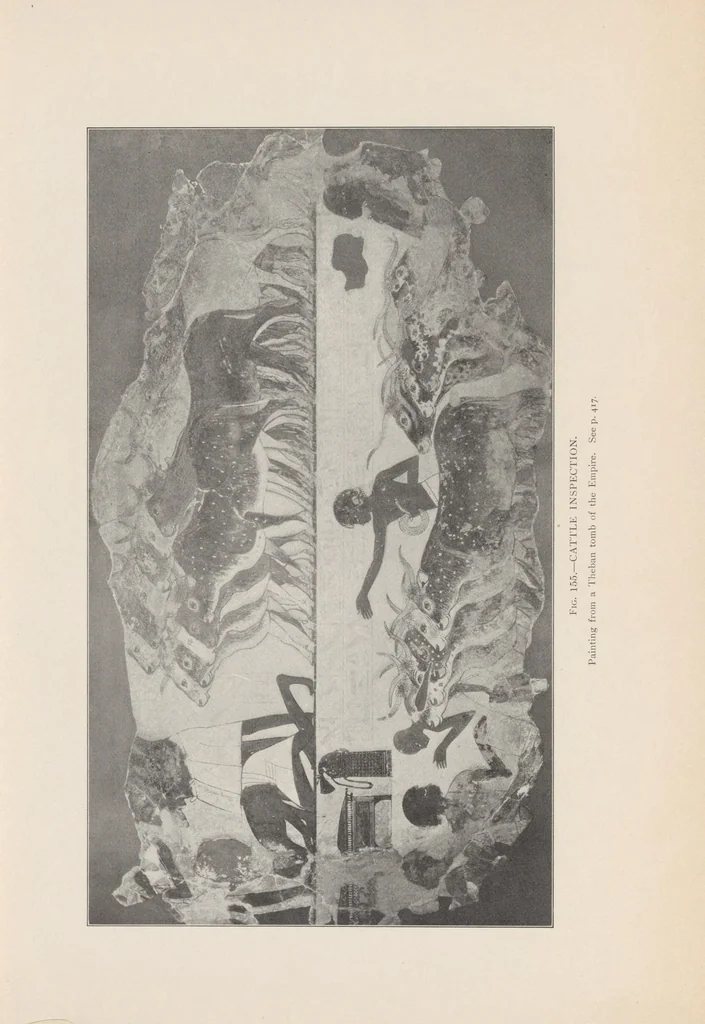 An illustration from A history of Egypt from the earliest times to the Persian conquest, 1905, leaf 567