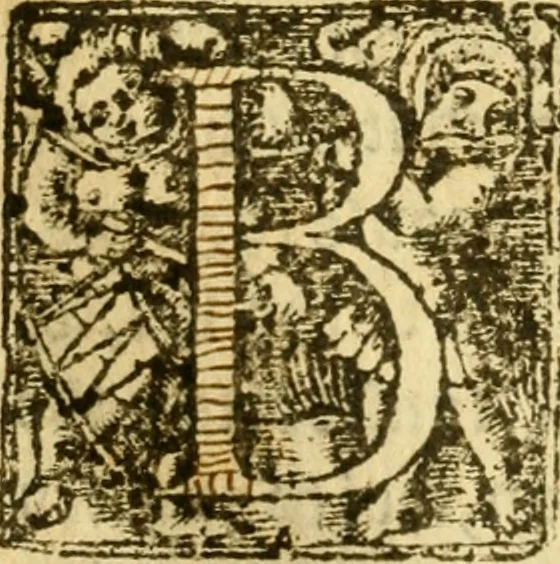 An illustration from The historye of Italye : a booke exceding profitable to be red: because it intreateth of the astate of many and dyuers common weales, how they haue bene, and now be gouerned, 1561, leaf 101