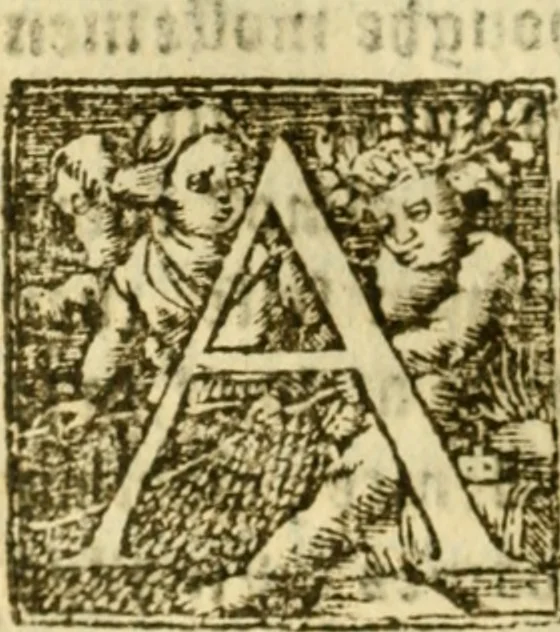An illustration from The historye of Italye : a booke exceding profitable to be red: because it intreateth of the astate of many and dyuers common weales, how they haue bene, and now be gouerned, 1561, leaf 257