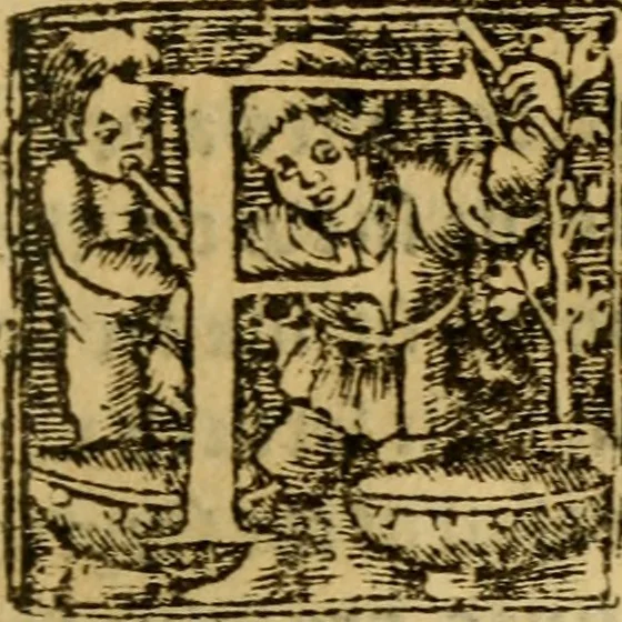 An illustration from The historye of Italye : a booke exceding profitable to be red: because it intreateth of the astate of many and dyuers common weales, how they haue bene, and now be gouerned, 1561, leaf 302