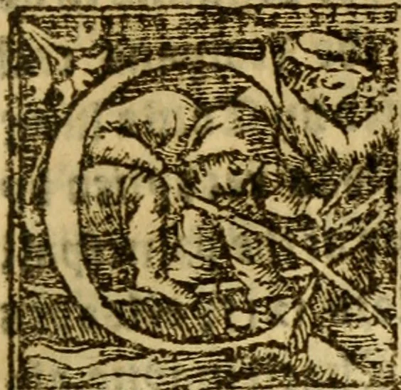 An illustration from The historye of Italye : a booke exceding profitable to be red: because it intreateth of the astate of many and dyuers common weales, how they haue bene, and now be gouerned, 1561, leaf 308