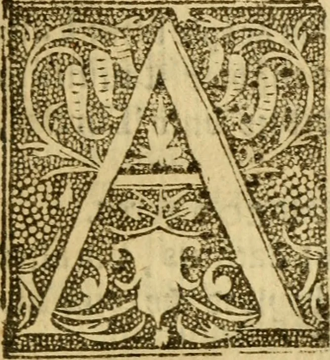An illustration from The historye of Italye : a booke exceding profitable to be red: because it intreateth of the astate of many and dyuers common weales, how they haue bene, and now be gouerned, 1561, leaf 34