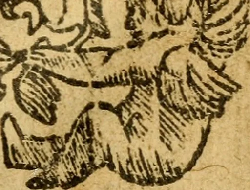 An illustration from The historye of Italye : a booke exceding profitable to be red: because it intreateth of the astate of many and dyuers common weales, how they haue bene, and now be gouerned, 1561, leaf 4