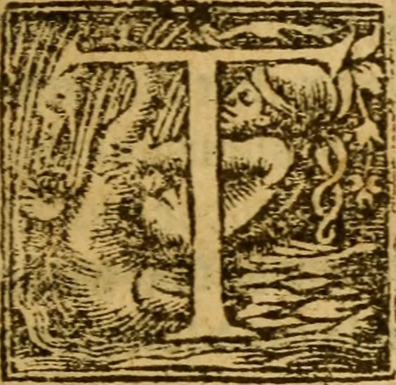 An illustration from The historye of Italye : a booke exceding profitable to be red: because it intreateth of the astate of many and dyuers common weales, how they haue bene, and now be gouerned, 1561, leaf 6