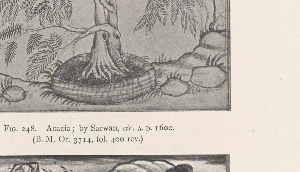 An illustration from A history of fine art in India and Ceylon : from the earliest times to the present day, 1911, leaf 503