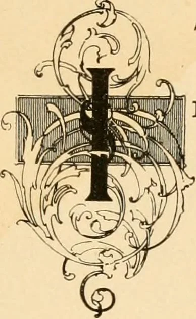 An illustration from History and manufacture of floor coverings, 1899, leaf 20