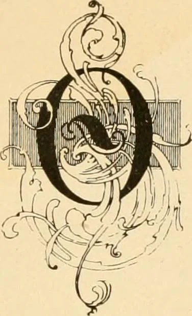 An illustration from History and manufacture of floor coverings, 1899, leaf 50