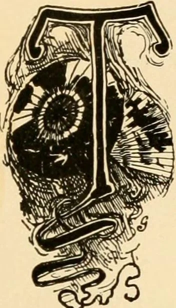 An illustration from History and manufacture of floor coverings, 1899, leaf 68