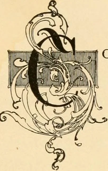 An illustration from History and manufacture of floor coverings, 1899, leaf 80