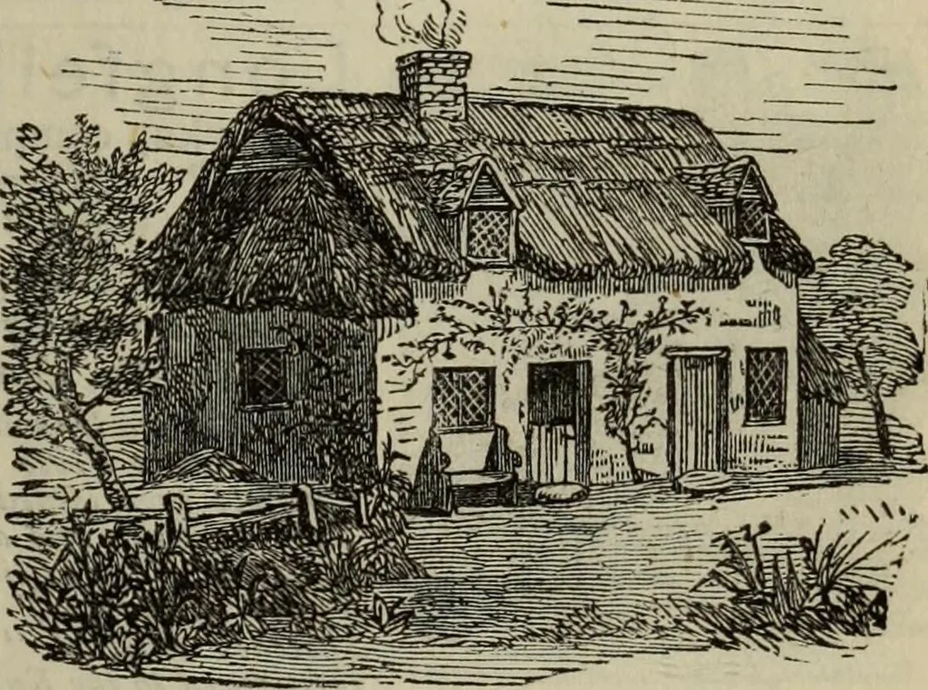 An illustration from A history of advertising, from the earliest times : illustrated by anecdotes, curious specimens, and biographical notes, 1874, leaf 682