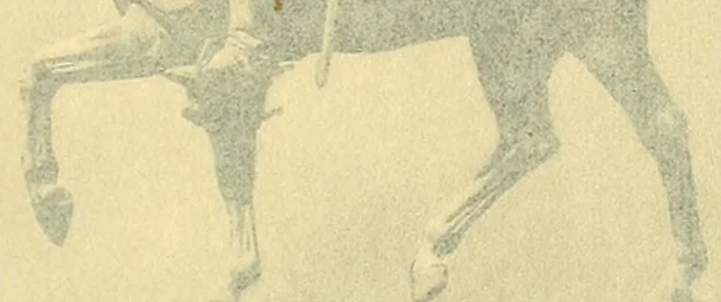 An illustration from The history of American sculpture, 1903, leaf 157