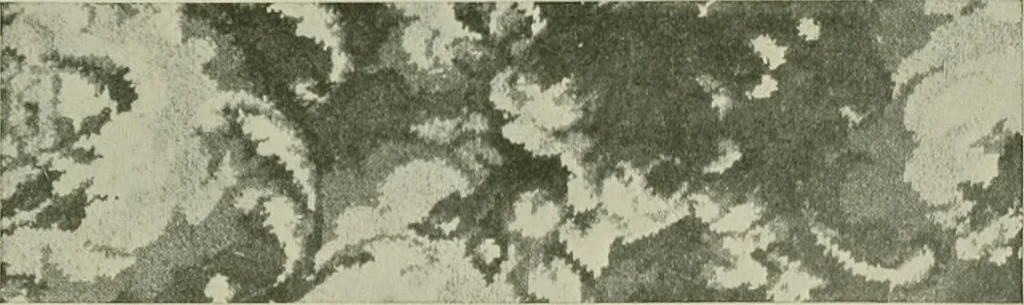 An illustration from History of American textiles : with kindred and auxiliary industries (illustrated), 1922, leaf 100