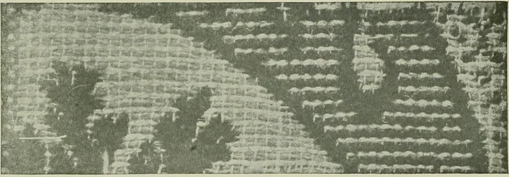 An illustration from History of American textiles : with kindred and auxiliary industries (illustrated), 1922, leaf 102