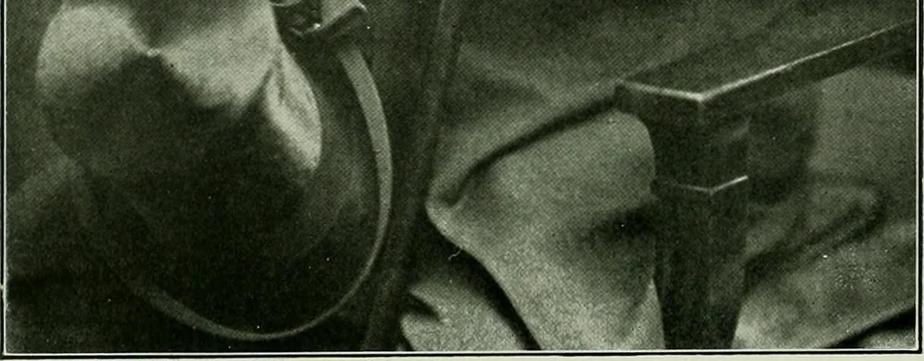 An illustration from History of American textiles : with kindred and auxiliary industries (illustrated), 1922, leaf 291