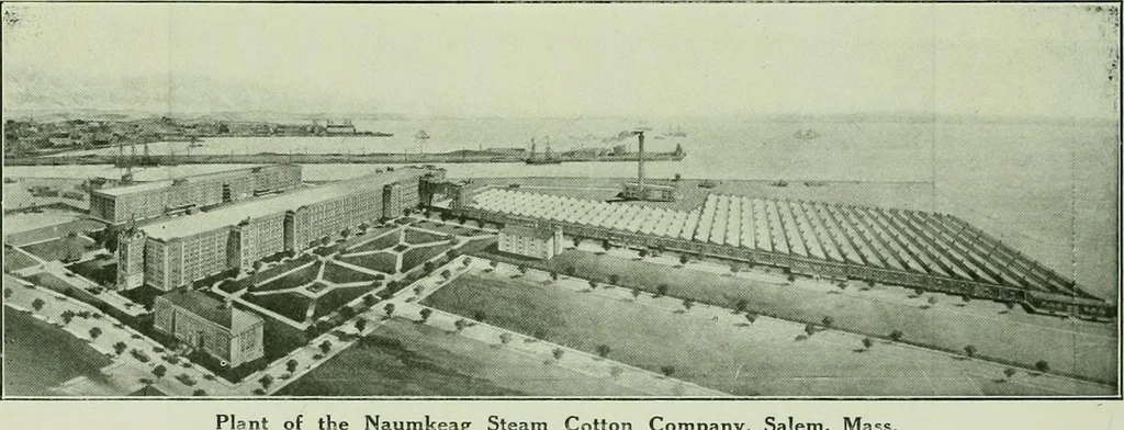 An illustration from History of American textiles : with kindred and auxiliary industries (illustrated), 1922, leaf 351