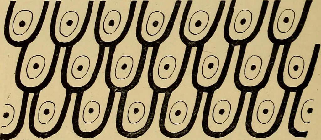 An illustration from History of ancient pottery, Greek, Etruscan, and Roman, 1905, leaf 252