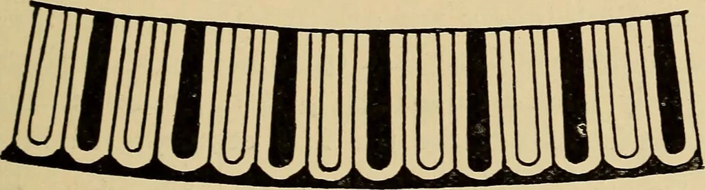 An illustration from History of ancient pottery, Greek, Etruscan, and Roman, 1905, leaf 253