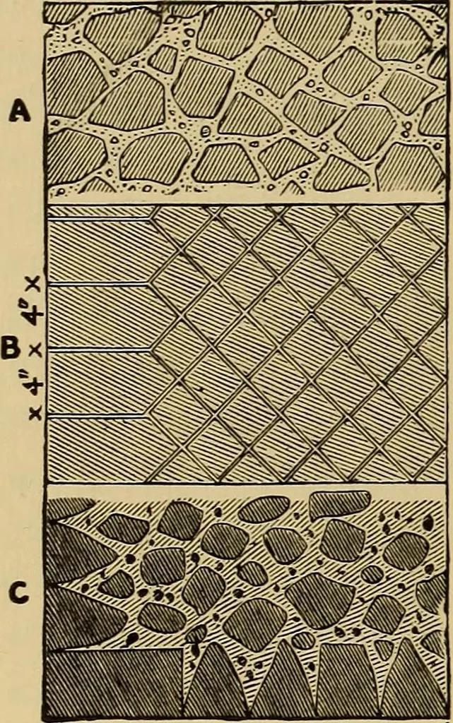 An illustration from History of ancient pottery, Greek, Etruscan, and Roman, 1905, leaf 382