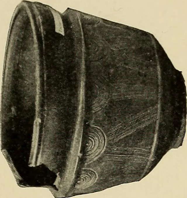 An illustration from History of ancient pottery, Greek, Etruscan, and Roman, 1905, leaf 605
