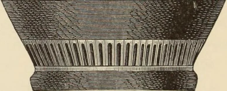 An illustration from History of ancient, early Christian, and mediaeval painting, 1880, leaf 109