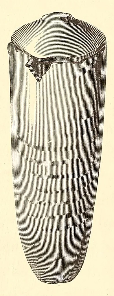 An illustration from History of ancient pottery, 1858, leaf 56
