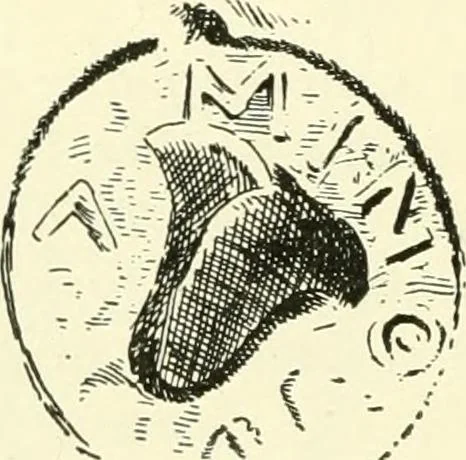 An illustration from History of ancient pottery, Greek, Etruscan, and Roman, 1905, leaf 215