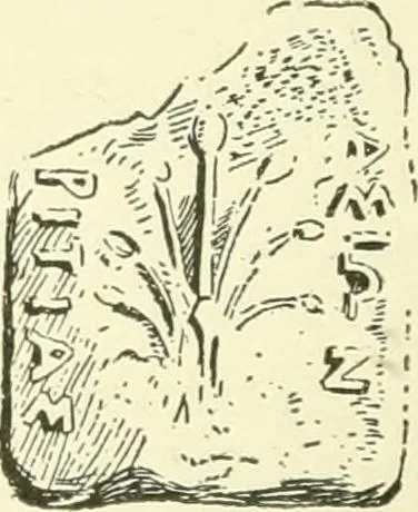 An illustration from History of ancient pottery, Greek, Etruscan, and Roman, 1905, leaf 217