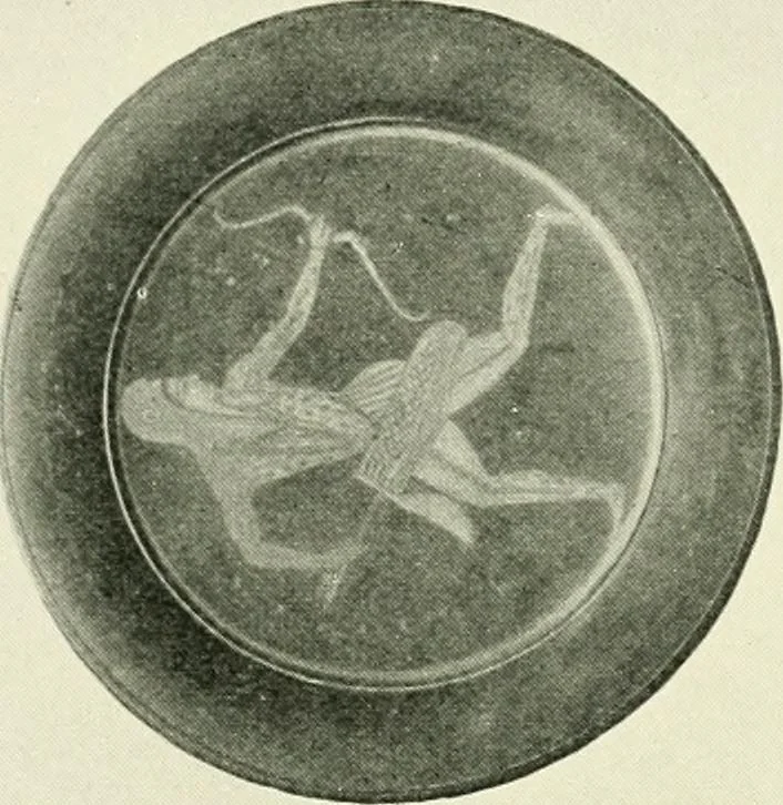 An illustration from History of ancient pottery, Greek, Etruscan, and Roman, 1905, leaf 534