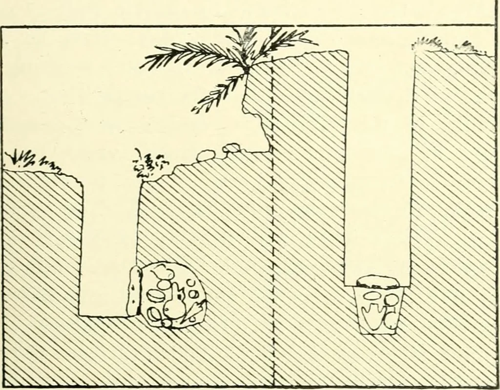 An illustration from History of ancient pottery, Greek, Etruscan, and Roman, 1905, leaf 76