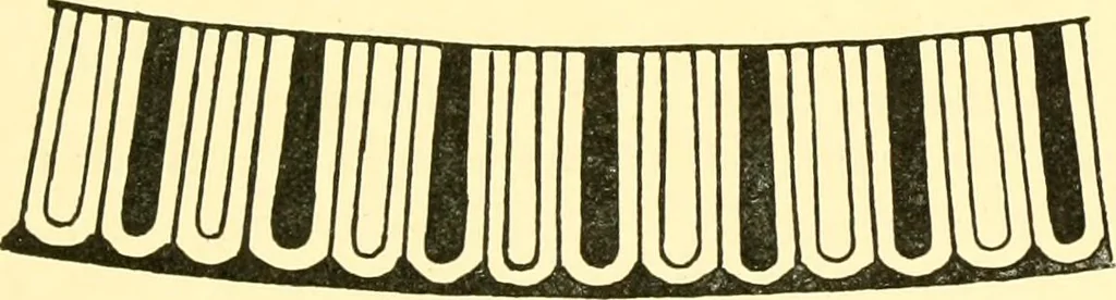 An illustration from History of ancient pottery, Greek, Etruscan, and Roman, 1905, leaf 252