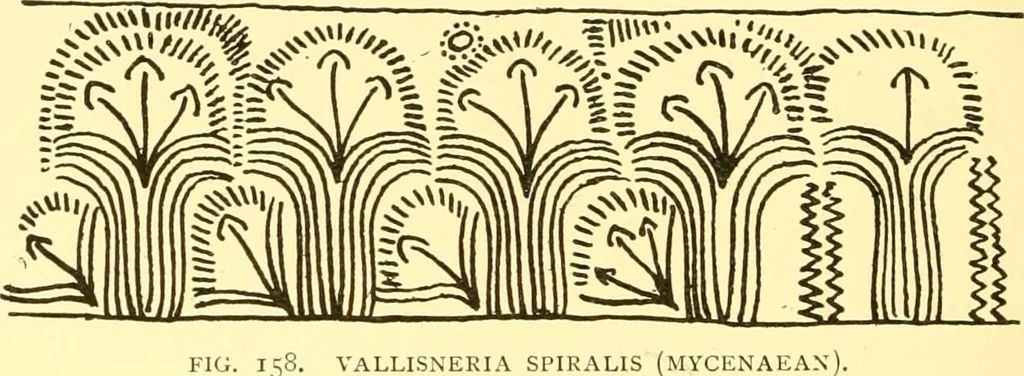 An illustration from History of ancient pottery, Greek, Etruscan, and Roman, 1905, leaf 257