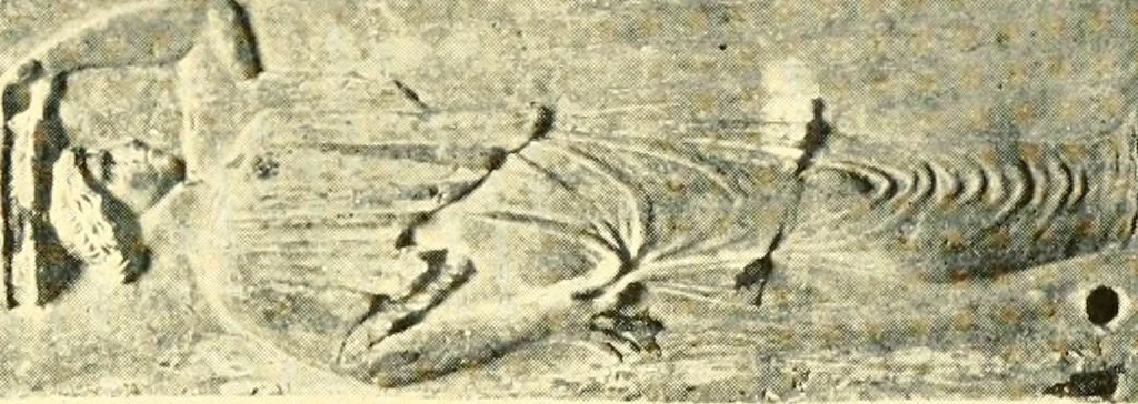 An illustration from History of ancient pottery, Greek, Etruscan, and Roman, 1905, leaf 416