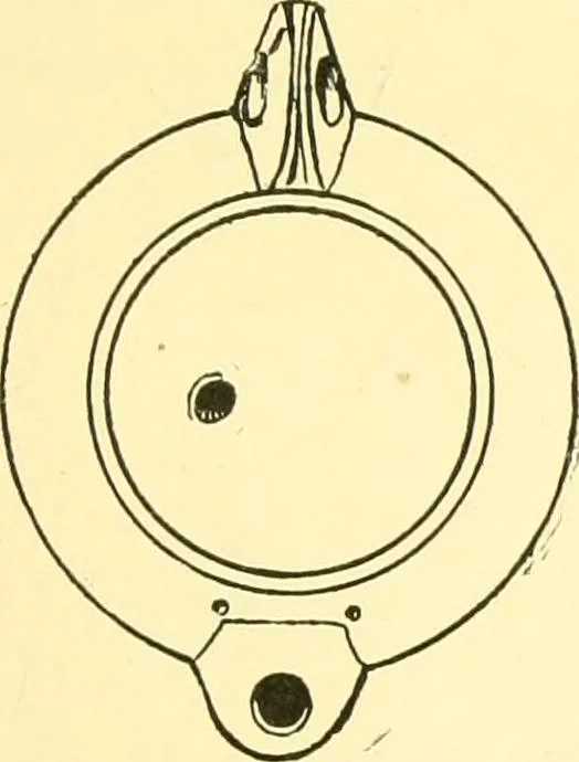 An illustration from History of ancient pottery, Greek, Etruscan, and Roman, 1905, leaf 448