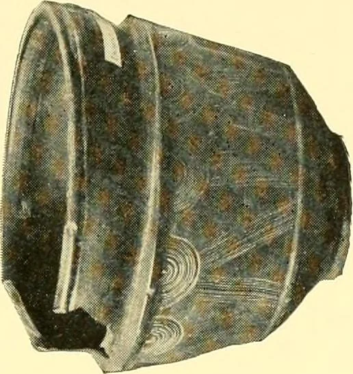 An illustration from History of ancient pottery, Greek, Etruscan, and Roman, 1905, leaf 604