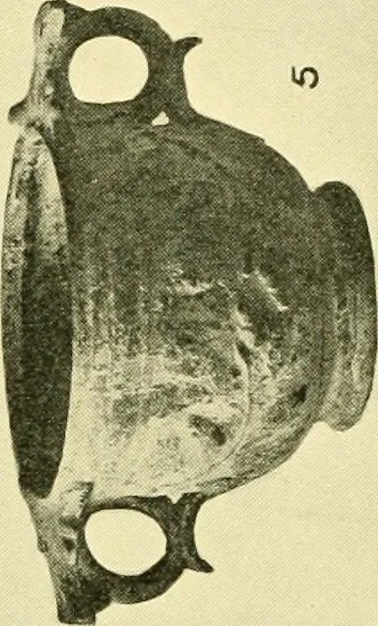 An illustration from History of ancient pottery: Greek, Etruscan, and Roman, 1905, leaf 188