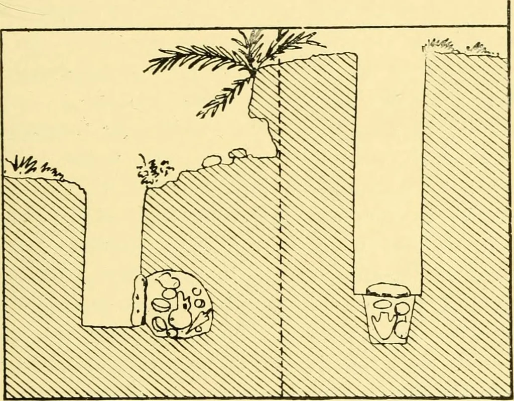 An illustration from History of ancient pottery: Greek, Etruscan, and Roman, 1905, leaf 78