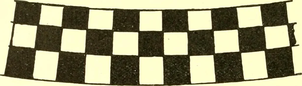 An illustration from History of ancient pottery: Greek, Etruscan, and Roman, 1905, leaf 249