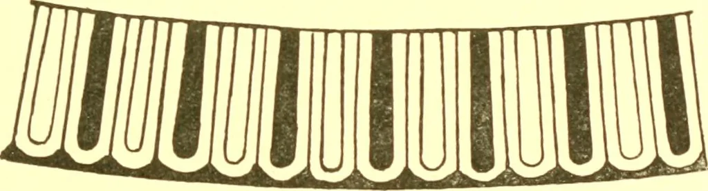 An illustration from History of ancient pottery: Greek, Etruscan, and Roman, 1905, leaf 252