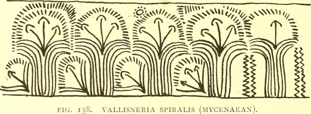 An illustration from History of ancient pottery: Greek, Etruscan, and Roman, 1905, leaf 257