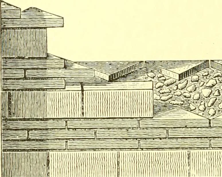An illustration from History of ancient pottery: Greek, Etruscan, and Roman, 1905, leaf 383