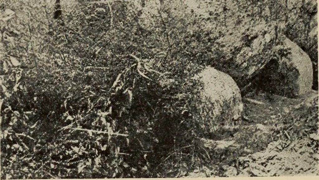 An illustration from History of art, 1921, leaf 100