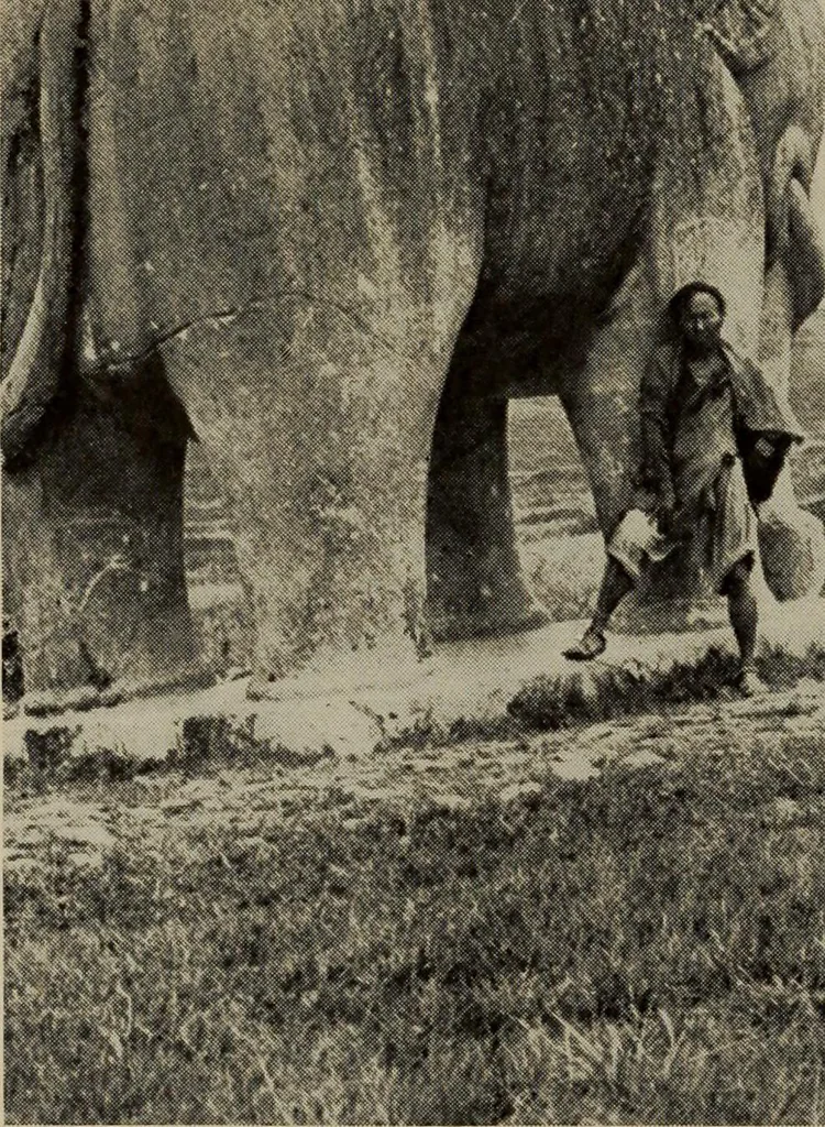 An illustration from History of art, 1921, leaf 119